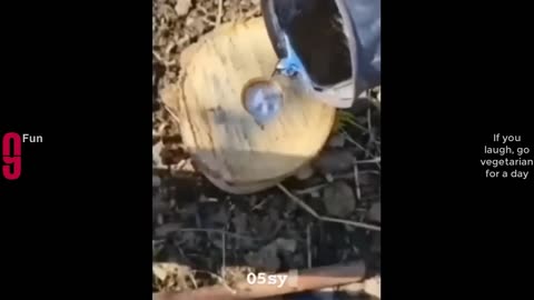 😆 Best Funny Videos Compilation 😂😁😆 - Laugh Until You Cry! PART 6