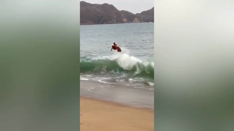 Summer, beach, surfing