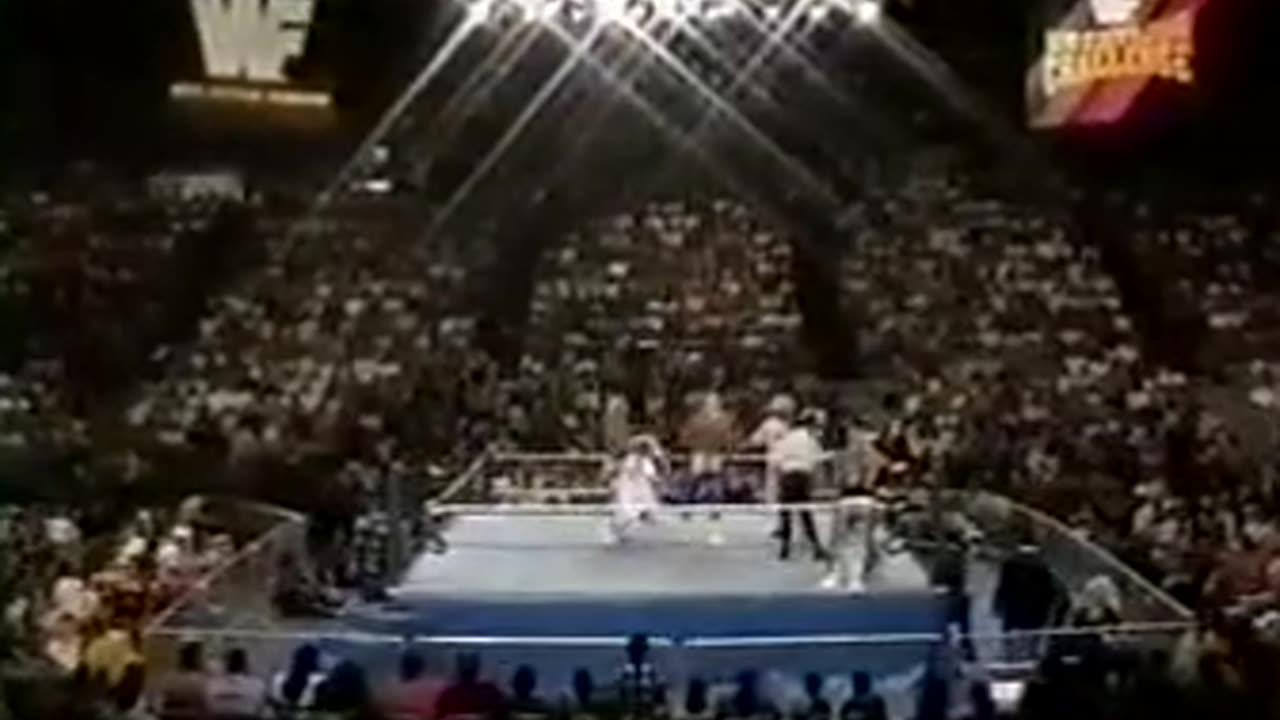 WWF Wrestling Challenge - Jul 14 1991