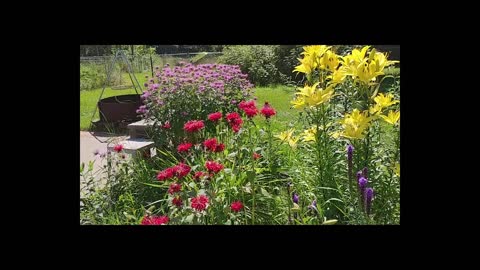 Garden Tour July 2019