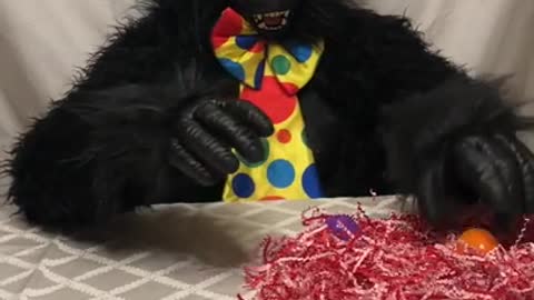 Gorilla open toy eggs candy FNfunkids