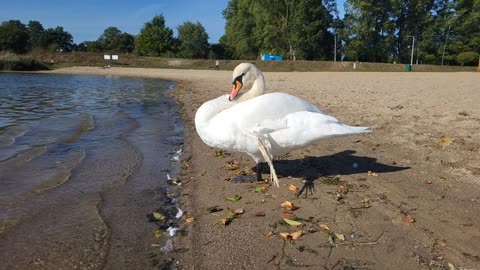 Spacerkiem przez Ełk ➡️ Widokówka: promenada i Jezioro Ełckie