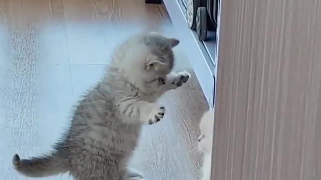 There's always cute ....aren't they