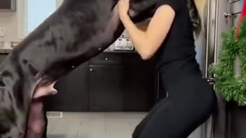 A dog trying to stand on its feet😭 #dog#shorts