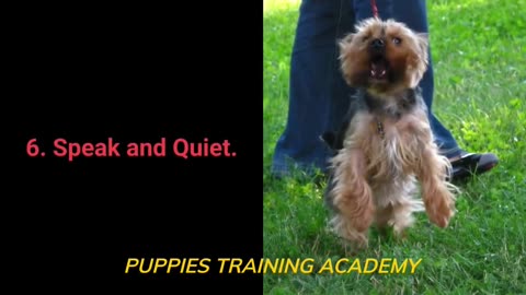 How train your dog easy