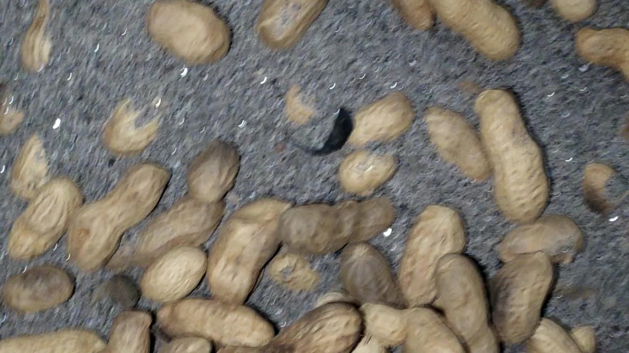 YOU KNOW WHAT IS THIS