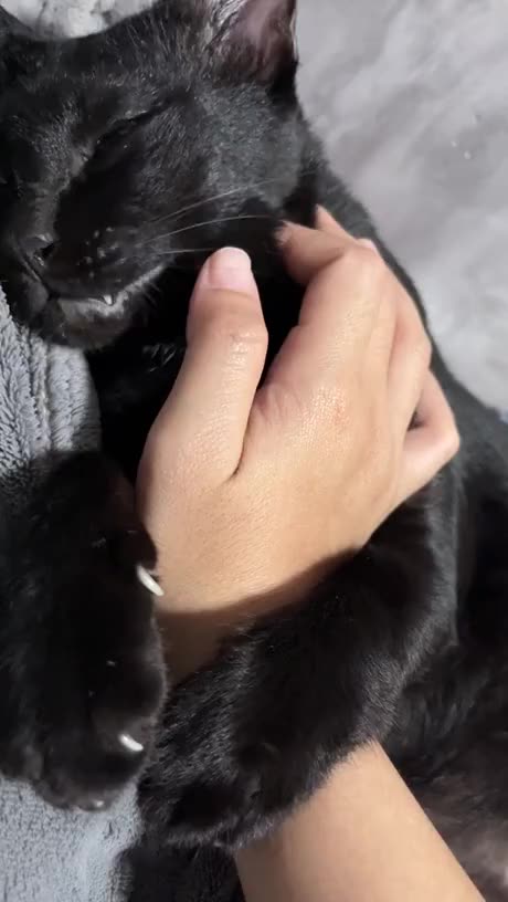 When your energy drink power runs out 😂