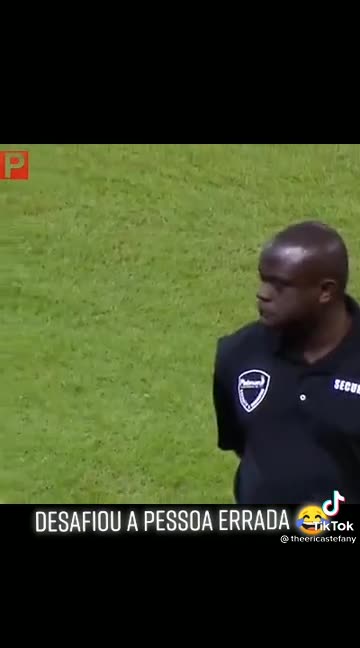 Mascot challenges security at the stadium and everyone is surprised...