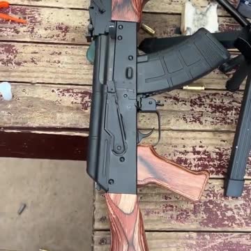 Checking out a Palmetto AK. #shorts #short #trending