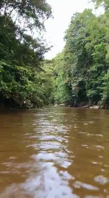 Amazing beauty of Borneo kalimantan, Indonesia