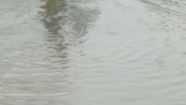 Traditional Fishing Technique