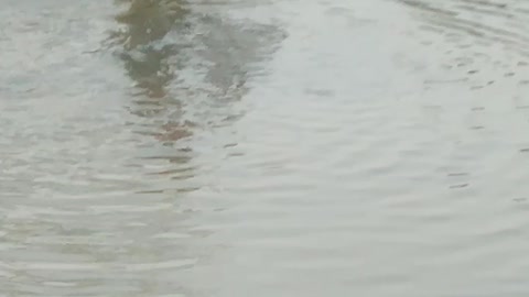 Traditional Fishing Technique