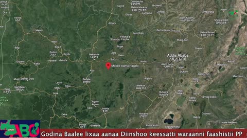 Oduu Waaree ONM-ABO Sadaasa 1, 2023