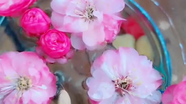 butterfly flying in flower