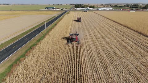 Backing up in front of combine