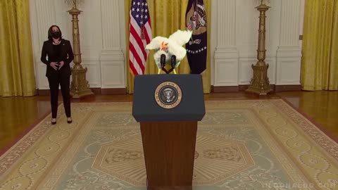 Chicken Joe arriving from his vacation...😂😂😂