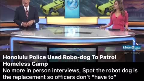 Robot Dog to patrol Homeless Camps. You are being REPLACED! What now happens to the humans?