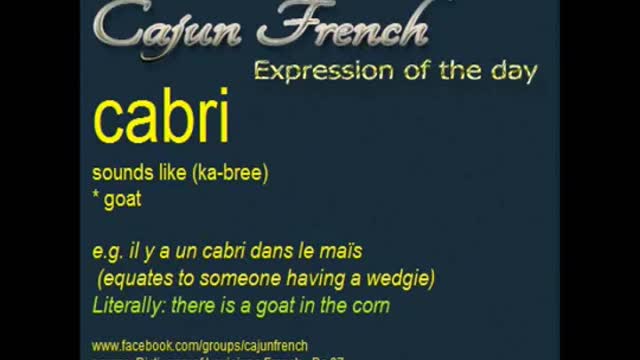 Cajun French - Daily Graphic - Part 7