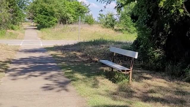 A Summer Walk At Lake Ray Roberts