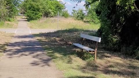 A Summer Walk At Lake Ray Roberts