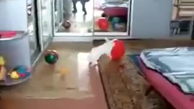 Bunny is playing with a balloon