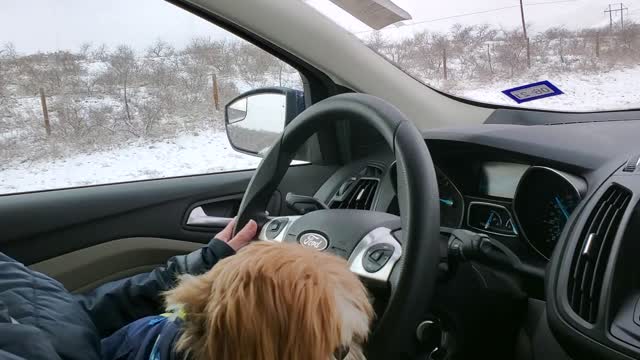 Davis Mountains in the snow