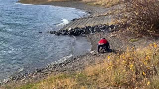 Skipping Rocks Leads To Head Socks