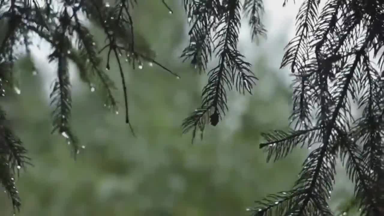 Relaxing Rain Video