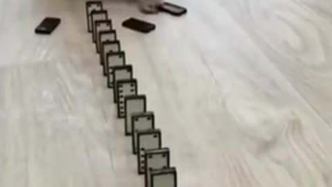 Cat play domino😍🤣