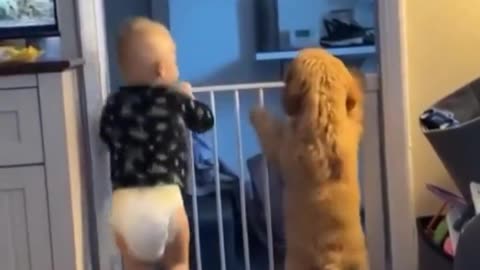 Too Cute - Dog and Baby Jumping!