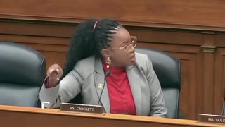 Dem Rep Goes On Racial Rant During Hearing, Says Black Americans Didn't 'Ask To Be Here'