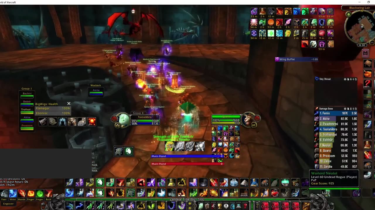 Blackwing Lair all bosses WoW Classic SoD Ele Shaman Gameplay 2500 dps Gearscore 1010 Highlight