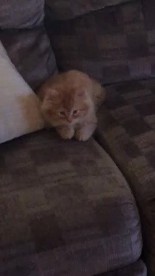 Carson H Tired from Playing