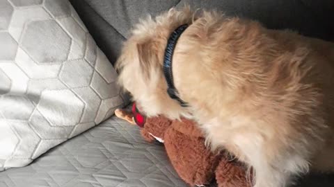 14 DAYS OF CHRISTMAS 2023 DAY 11 12/21/23