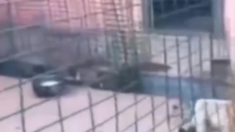 Rumble with #FunnyVideos: Laughter Unleashed