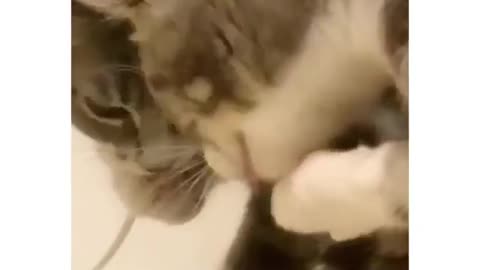 Wait, is that me?
