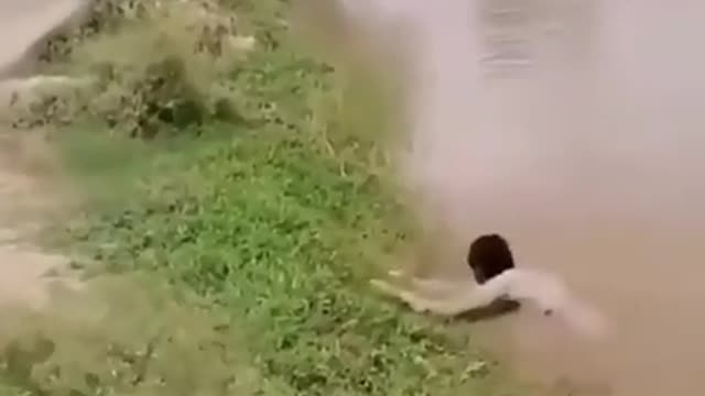 funny-status-video-0143