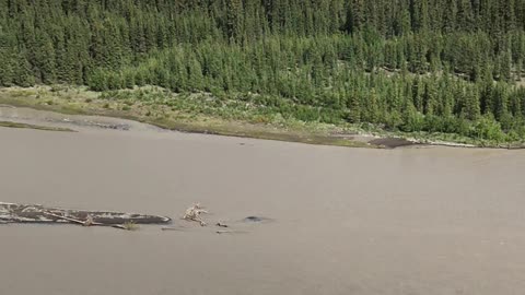 Over looking the Copper River, South of Glennallen Alaska