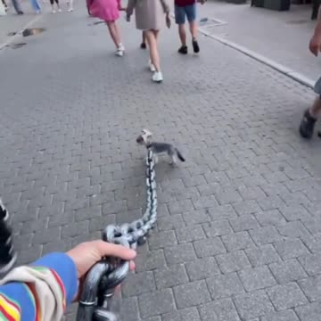 Some People like small size and some like bigger