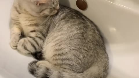 'Processing information... Processing... Processing'