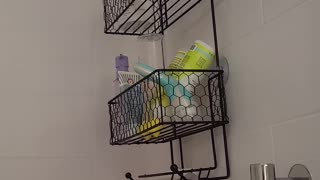 Shower caddy caddy shack madness