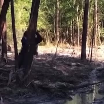 ROPE SLINGING FAILS #shorts #49 #ropeslinging #rope #funny #funnyvideos #failcompilation #memes