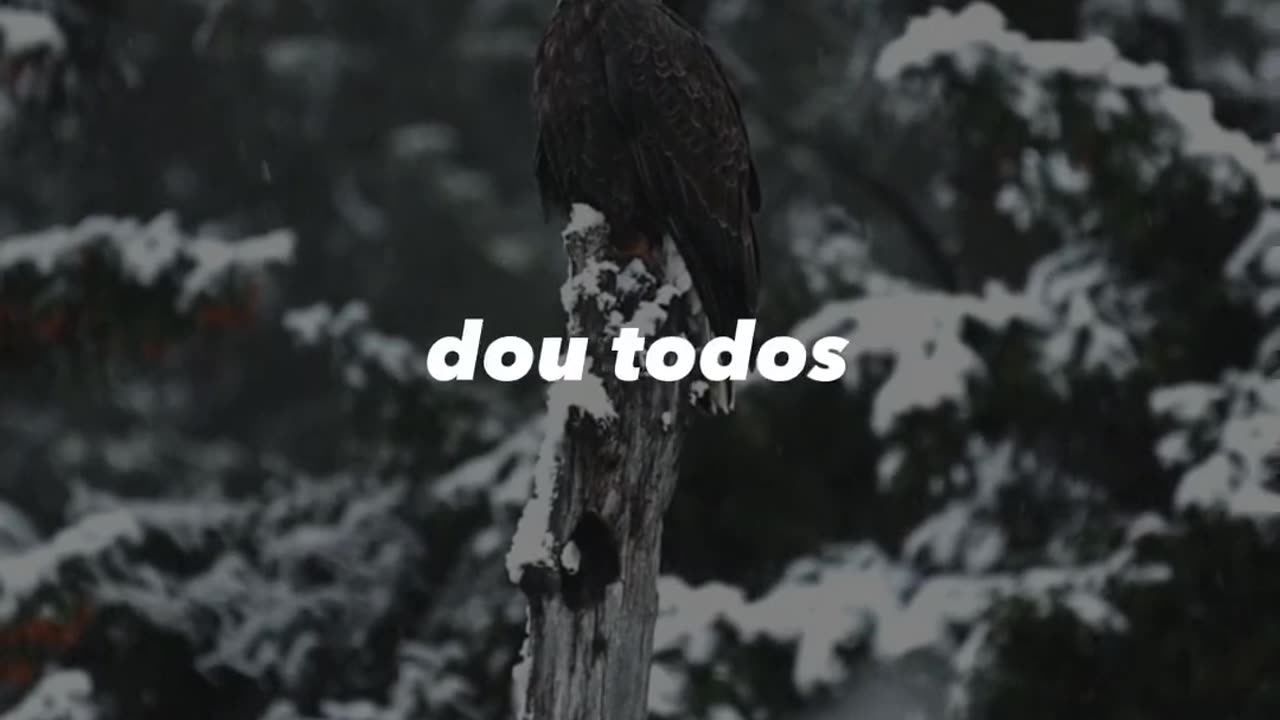 Chega