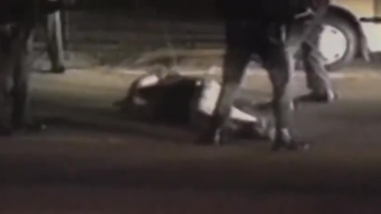 Police are Animals jungle law and justice,working for you?