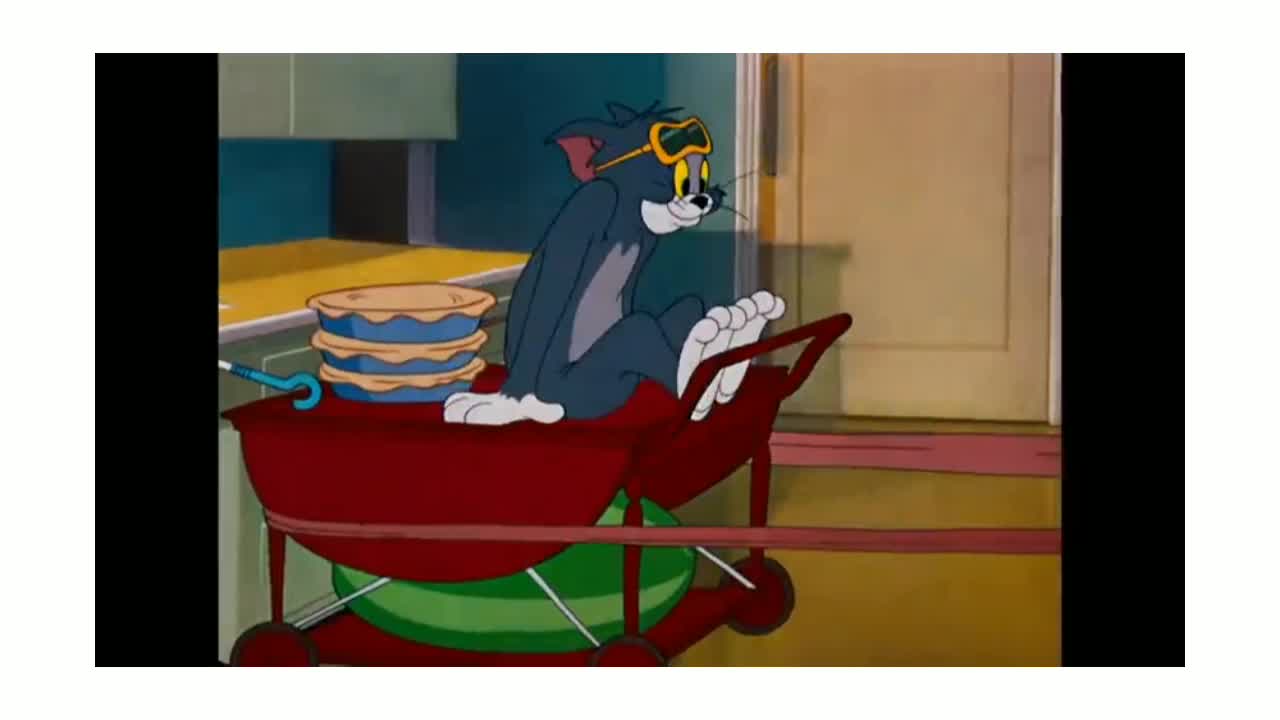 Tom And Jerry Cartoon Funny Videos