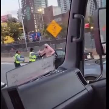 Brutal Altercation Erupts Between Driver and Traffic Enforcement Agents