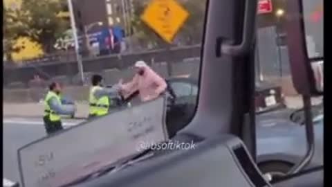 Brutal Altercation Erupts Between Driver and Traffic Enforcement Agents