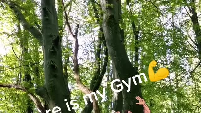 here is my Gym - a gym in the woods