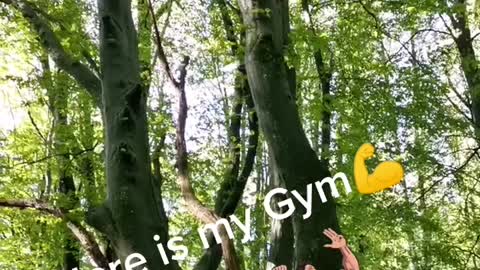 here is my Gym - a gym in the woods