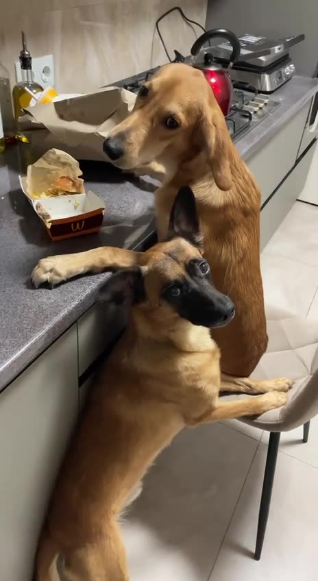 Just making sure the burger is good enough for you